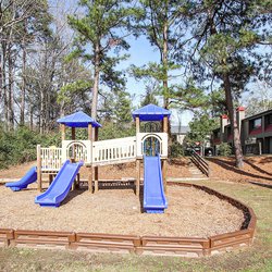 playground at 100 Inverness Apartments in Birmingham, AL