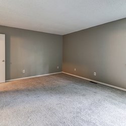 carpeted floor living room at 100 Inverness Apartments in Birmingham, AL