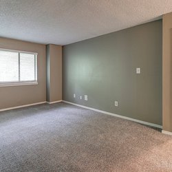 carpeted floor living room at 100 Inverness Apartments in Birmingham, AL