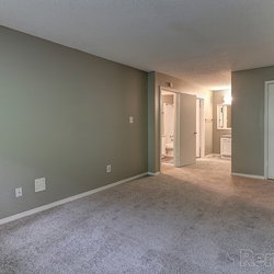 carpeted floor living room at 100 Inverness Apartments in Birmingham, AL
