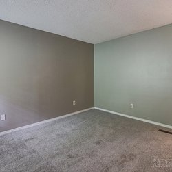 carpeted floor living room at 100 Inverness Apartments in Birmingham, AL